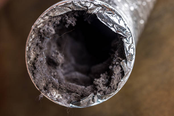 Best HVAC System Cleaning  in Riviera Beach, FL